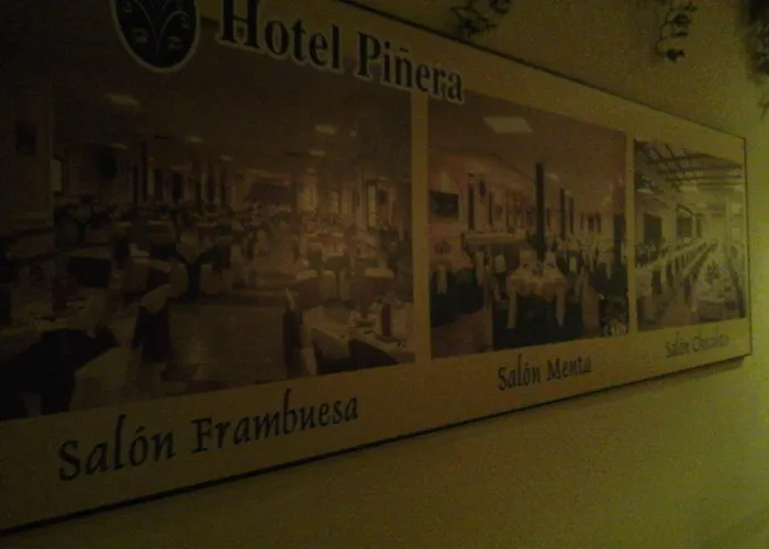 Pinera Vega de Espinareda